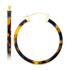 Lucite Hoop Earrings in 18k Gold over